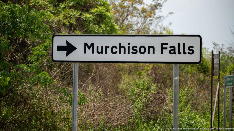 Roadside sign with a right-pointing arrow and the words Murchison Falls beside dry woodland.