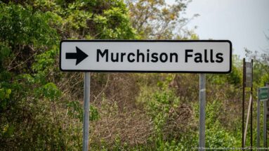 Roadside sign with a right-pointing arrow and the words Murchison Falls beside dry woodland.
