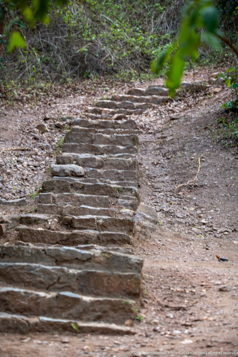 Irregular stone steps climbing a dry woodland slope along the walking route near the top of Murchison Falls.