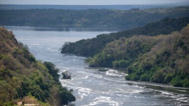Elevated view of the Victoria Nile winding between steep green banks in Murchison Falls National Park.