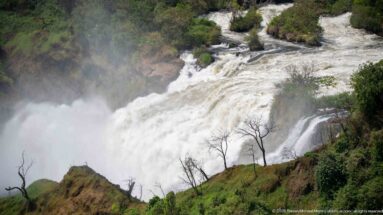 Elevated view of broad whitewater channels at Murchison Falls with heavy spray and bare trees on a green ridge.