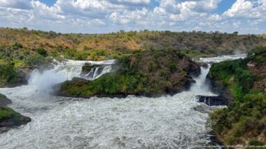 Two large cascades separated by green rock at Murchison Falls above a broad field of whitewater.