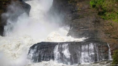 Close view of turbulent whitewater and spray plunging beside a dark rock block at Murchison Falls.