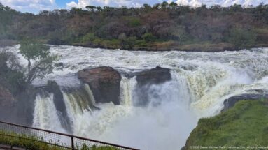 Murchison Falls beyond a metal overlook railing, with multiple white cascades and a mist-filled gorge.