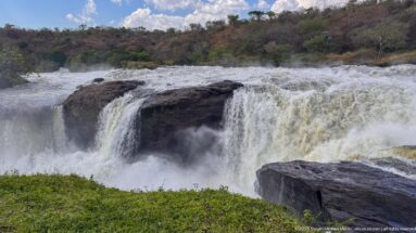 Heavy whitewater dropping in several curtains over dark bedrock at Murchison Falls, with mist rising below.