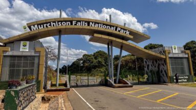 Modern Murchison Falls National Park gateway spanning the entrance road with UWA logos, barriers, and marked lanes.