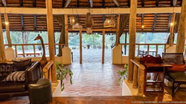 Open-air lodge lounge with leather seating, timber posts, hanging lamps, brick floor, and woodland beyond.