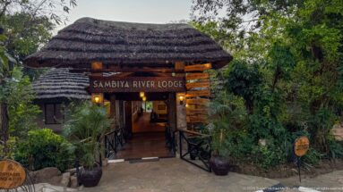 Thatched entrance to Sambiya River Lodge surrounded by dense green vegetation and directional signs.