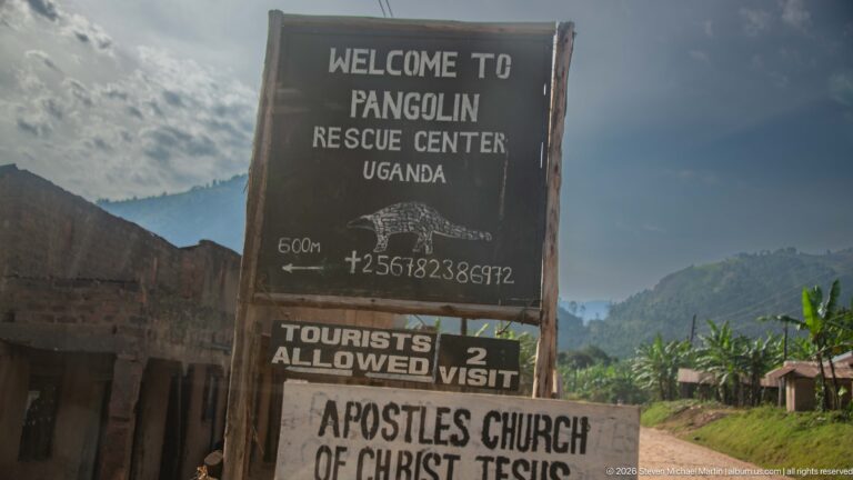 Roadside sign reads “WELCOME TO PANGOLIN RESCUE CENTER UGANDA,” with a pangolin drawing, arrow, and visitor notice.
