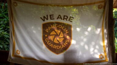 Fabric banner under a shelter reads “WE ARE PANGOLIN GUARDIANS” around a shield emblem with a stylized pangolin.
