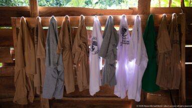 White, gray, tan, and green T-shirts and garments hanging from wooden pegs along a plank wall.