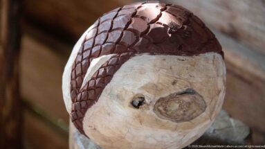 Close-up of a carved or modeled pangolin head with brown overlapping scale forms and a pale face.