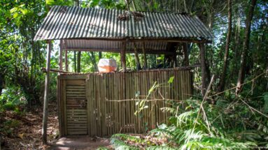 Open-sided bamboo shelter with vertical pole walls, slatted door, and corrugated roof surrounded by forest vegetation.