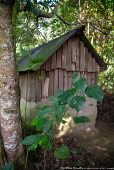 Small wood-plank hut with corrugated metal roof and pale base, partly screened by a tree trunk and green leaves.