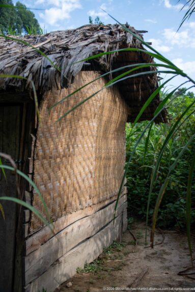 Rustic shelter with woven wall panels, timber base, and weathered thatched roof beside tall tropical grasses.