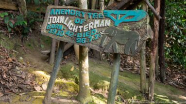 Painted wooden “MEMORY TREE” memorial for Joan L. Geterman with dates and a carved pangolin figure beneath trees.