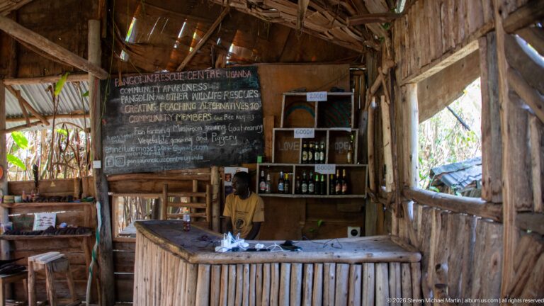 Staff member behind a wooden counter inside a rustic pangolin rescue center with chalkboard conservation messages and shelves.