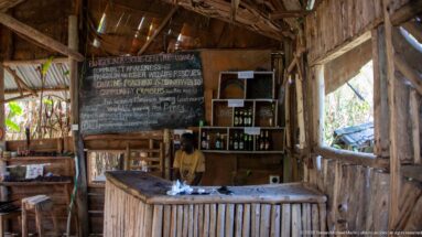 Staff member behind a wooden counter inside a rustic pangolin rescue center with chalkboard conservation messages and shelves.