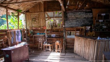 Rustic bamboo-and-timber rescue center interior with wooden stools, a counter, and a large conservation chalkboard at the rear.