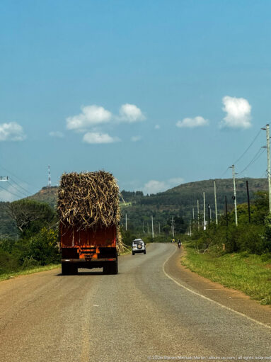 Truck carrying a towering load of cut cane-like stalks along a curving highway through green hills.