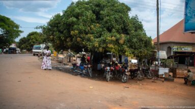 Several motorcycles and people gathered in deep shade beneath a large mango tree beside a Ugandan town road.