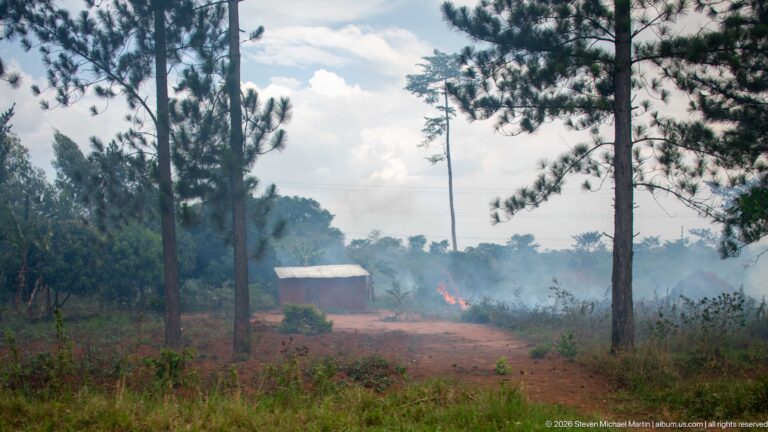 Smoke and small flames burning low vegetation among tall trees near a simple metal-roofed structure.
