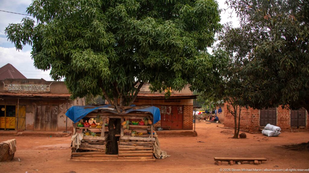 Small fruit stall under a large tree with produce on wooden shelves and a blue tarp beside brick buildings.