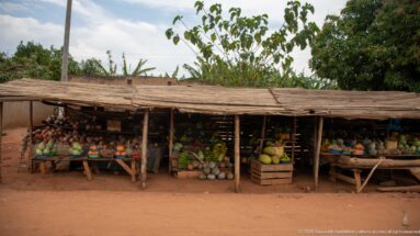 Open-air roadside produce stall packed with melons, pumpkins, tomatoes, leafy vegetables, and other produce under a timber shelter.