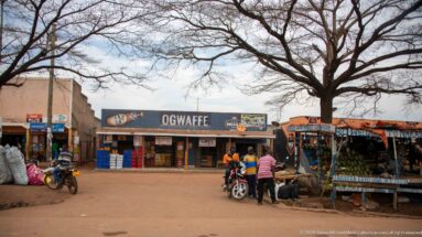 Ogwaffee storefront beside motorcycles, pedestrians, small stalls, and a large leafless tree at a dusty road junction.