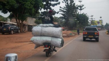 Rear view of a motorcycle carrying huge white sacks while following vehicles along a paved town road.