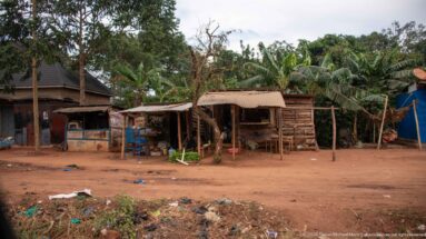 Timber and corrugated-metal roadside buildings on red earth with banana plants and dense greenery behind them.
