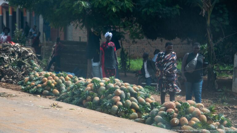Large piles of pineapples beside a shaded roadside where several people stand near the informal market.