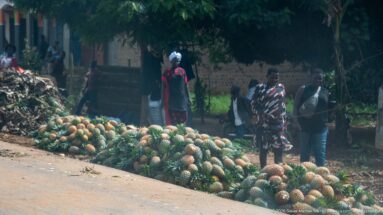 Large piles of pineapples beside a shaded roadside where several people stand near the informal market.