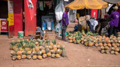 Large piles of pineapples spread across the ground outside a roadside shop as vendors work beneath a yellow umbrella.