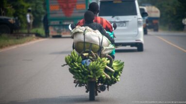 Motorcycle carrying large bunches of green bananas and sacks along a paved Ugandan highway behind other vehicles.