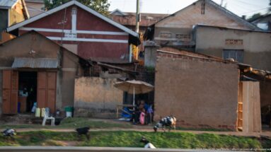Weathered roadside homes with corrugated roofs, shaded doorways, seated residents, and animals on a grassy verge.
