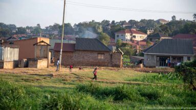 Grassy neighborhood with brick and metal-roofed homes, a footpath, utility poles, and people walking between houses.