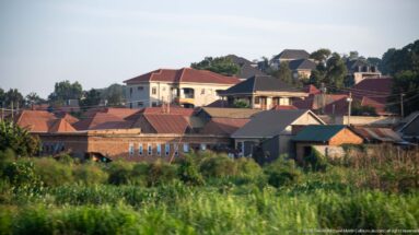 Green cultivated field in the foreground with clustered low-rise homes and trees behind it in a Ugandan town.