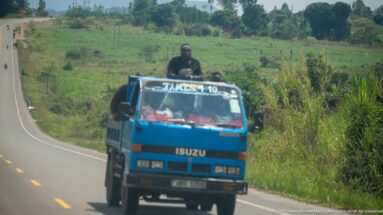 Blue Isuzu truck approaching on a rolling rural road with several people riding in the open rear.