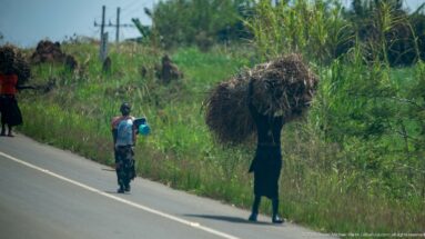 Two women walking beside the road, one carrying a large vegetation bundle and the other a bright blue container.
