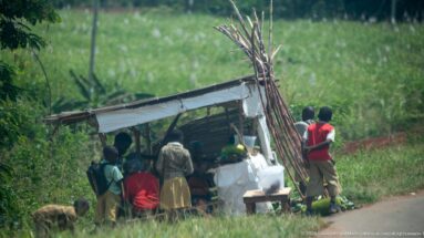 People gathered at a small timber-and-tarp roadside kiosk with long poles stacked upright beside it.