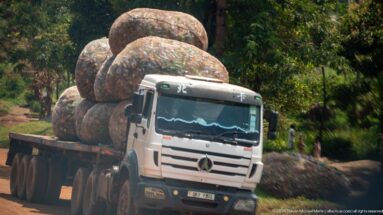 Mercedes flatbed truck carrying towering netted bales packed with used plastic bottles and containers.