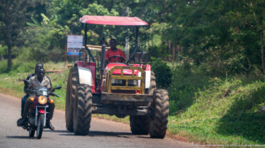 Red farm tractor and motorcyclist approaching together on a narrow paved road bordered by thick vegetation.