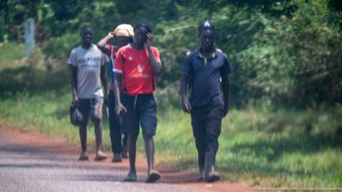 Four men walking toward the camera along the edge of a paved road bordered by dense green vegetation.