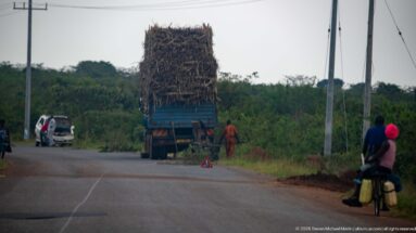 Overloaded blue truck stopped at the roadside with a warning triangle, two men, and a pedestrian carrying containers nearby.
