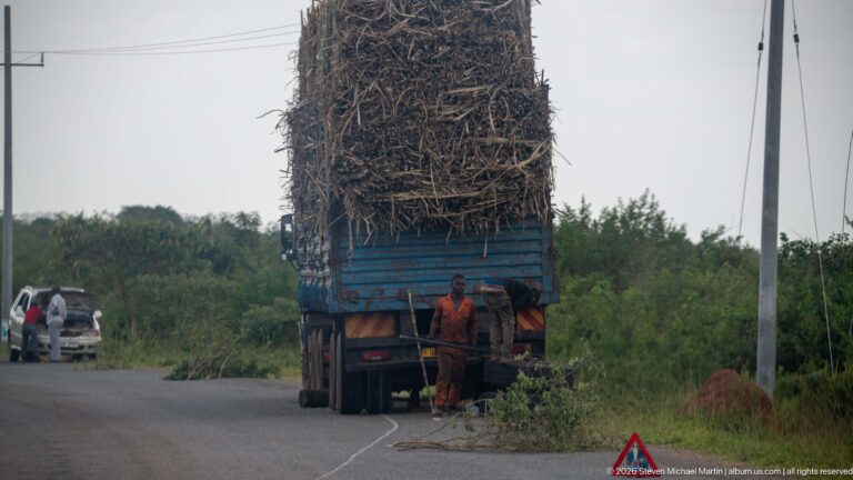 Blue truck carrying an exceptionally tall load of dry cut plant material, with two men and a warning triangle beside the road.