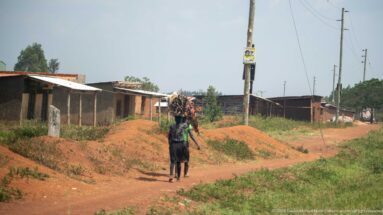 Person walking on a red-earth path with a large bundle of cut firewood balanced on the head beside low buildings.