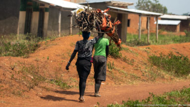 Two pedestrians walking on a red-earth roadside, one balancing a large tangled bundle of cut branches on the head.