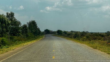 Empty two-lane paved road curving through grassy countryside with shrubs, scattered trees, fencing, and clouds overhead.