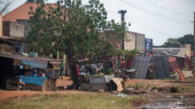 Roadside shops beneath a large tree with people, leaning metal gates or panels, and mixed goods across a dirt frontage.